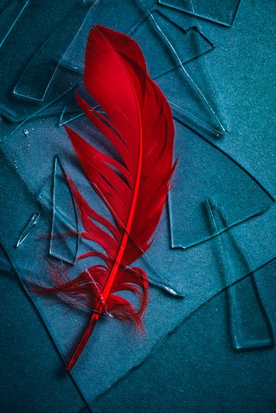 Boekpresentaties en signeersessies 2026